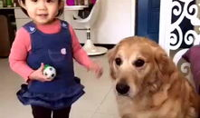 小狗狗跳舞视频